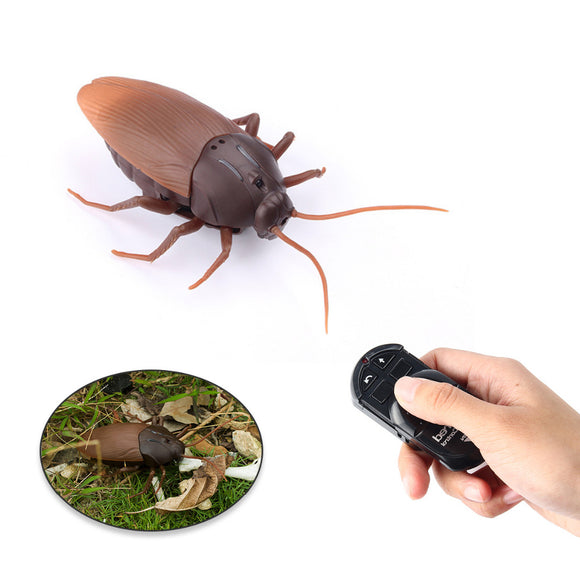 Cockroach Remote Control
